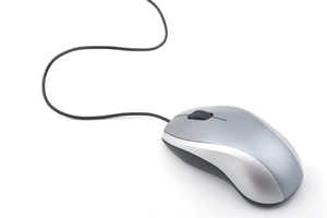 mouse